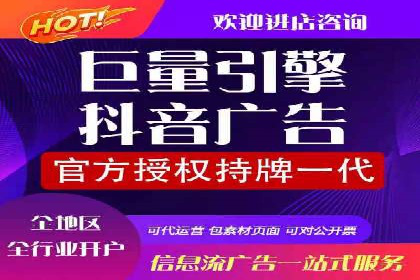 SEM竞价实战：成功案例解析